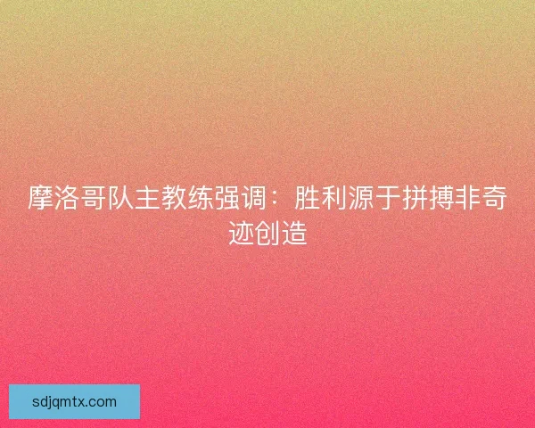 摩洛哥队主教练强调：胜利源于拼搏非奇迹创造
